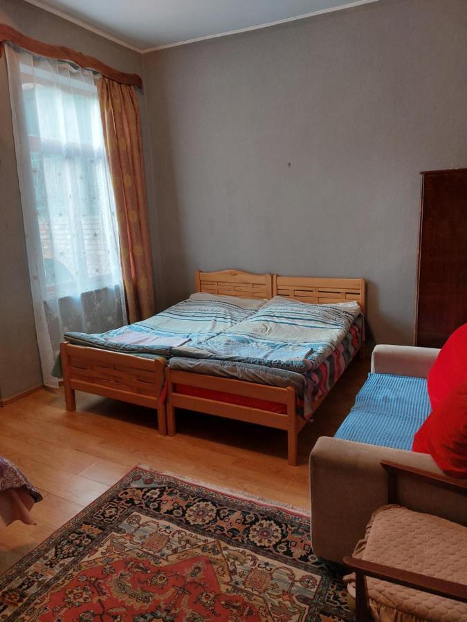 Vaniko'S Guesthouse Боржоми Экстерьер фото